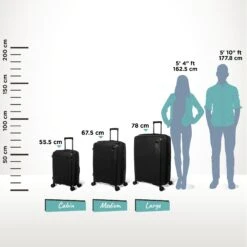 IT Luggage Spontaneous - Cabin (Black) -Travel Storage Spontaneous Set Blk Relative Size b07f146d 1d17 4b5e b84c 106915d5cf13